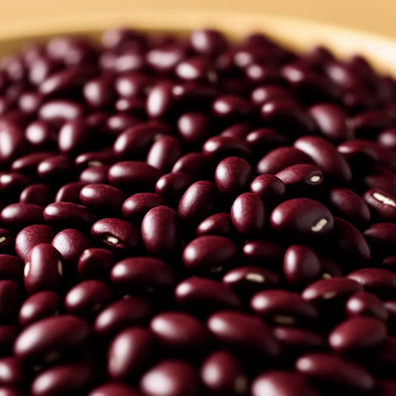 Beans, Dry, Dark Red Kidney (0% moisture) — calories and nutrition facts