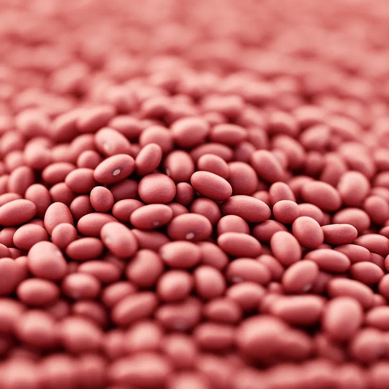 Beans, Dry, Light Red Kidney (0% moisture) — calories and nutrition facts