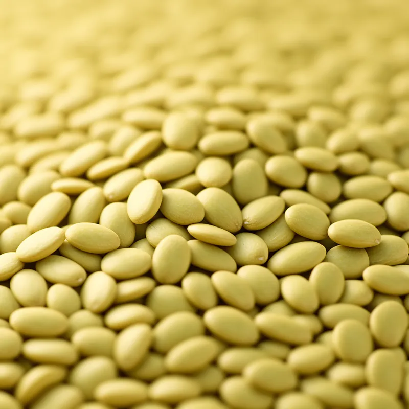 Seeds, sunflower seed, kernel — calories and nutrition facts