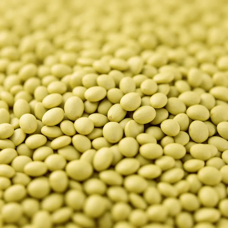 Seeds, sunflower seed kernels, dry roasted — calories and nutrition facts